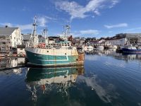 Kreuzfahrt Norwegen - Honningsvåg