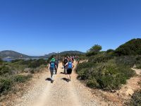 Wanderung Punta Giglio: Rückweg