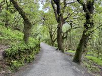 12. Tag: Wicklow Mountains – Wanderung in Glendalough