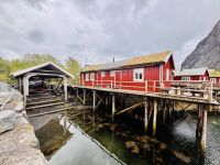 Kreuzfahrt Norwegen - Reine/Lofoten