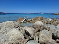 Insel La Maddalena (Bassa Trinita-Strand)