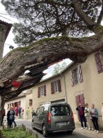 Clisson