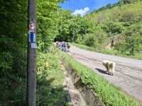 Wir wandern entlang der Via Transilvanica