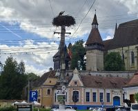 Storch auf dem Marktplatz von Biertan