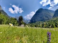 Blühende Wiesen und dahinter der Triglav