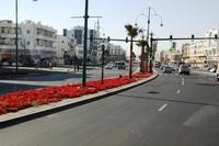 Rückfahrt nach Dubai