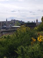 der Castle Hill 