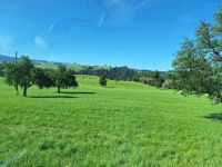 236 Heimreise - Fahrt über den Hirzel