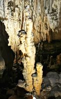 Hier unter dem Karst hat Zeit eine andere Bedeutung, Postojnahöhle
