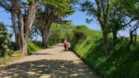 Wanderung entlang der Green Lanes auf Sark