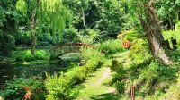La Seigneurie auf Sark - Seerosenteich wie bei Monet
