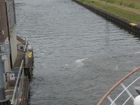 Schleusung auf der Mosel