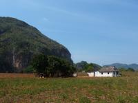 Vinales-Tal