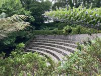 Südengland, Cornwall, Trebah Garden