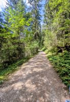 weiter geht's auf dem Rundweg im Gemsteltal