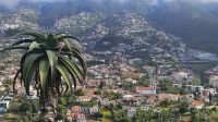 Aussicht vom Pico da Barcelos auf Funchal.jpg