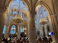 3. Tag: Spaziergang über die Île de la Cité – Notre-Dame de Paris