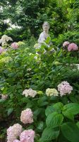 Salzburg - Schlosspark Mirabell 03