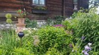 Hallstatt - im Garten von Uli und Vinzenz 07