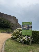 Gorey Castle