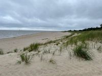 Föhrer Strandabschnitt