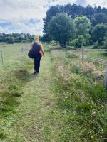 Wanderweg auf Amrum