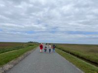 Wanderung auf Hallig Hooge