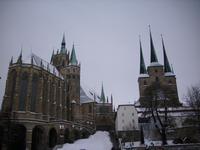 Der Erfurter Dom