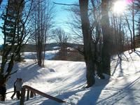 Auf dem Schauinsland