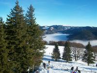 Auf dem Schauinsland