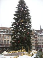 Tag 2 - 4 - Straßburger Weihnachtsbaum (1)