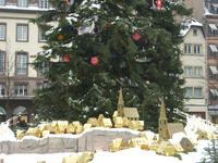 Tag 2 - 4 - Straßburger Weihnachtsbaum (2)
