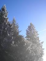 Tag 3 - 2 - Silvester - Col de Bagnelles (2)