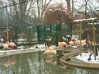 Tag 5 - Tierbeobachtungen im Parc de l'Orangerie (0)