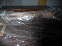 117_Jesus nach der Flut