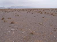 Yazd- Wüstenlandschaft