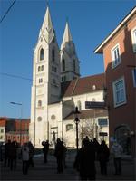 Dom Wiener Neustadt