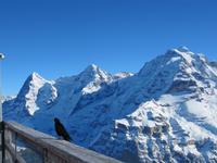 Eiger, Mönch und Jungfrau