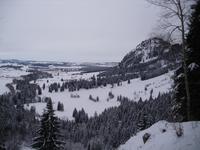 Blick vom Schloss Neuschwanstein