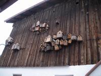 in Füssen fotografiert
