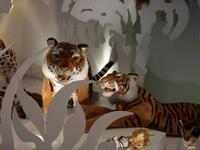 auch die Wildniss gibt es im Steiff-Museum