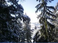 Aussicht vom Baumwipfelpfad
