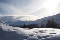 Blick auf die Ortlergruppe