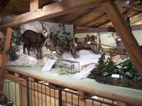 Ausstellung im Heimathaus