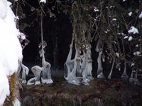 Winterträume im Schlosspark