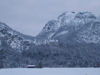 Blick auf Schloss Neuschwanstein