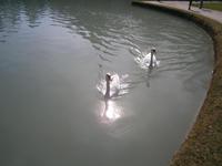 Hellbrunn in Salzburg