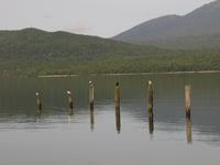 Lake Te Anau