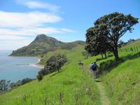 Wanderung Coromandel Walkway