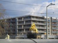 Der Goldene Reiter in der Neustadt